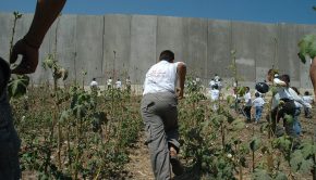 1024px-Palestinian_children_and_Israeli_wall