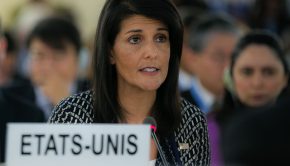 35173842045_4125996723_z